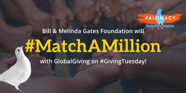 matchamillion-globalgiving-112916