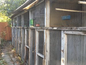 a long row of abandoned aviaries