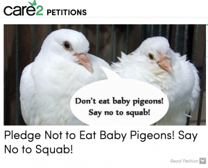 squab_petition
