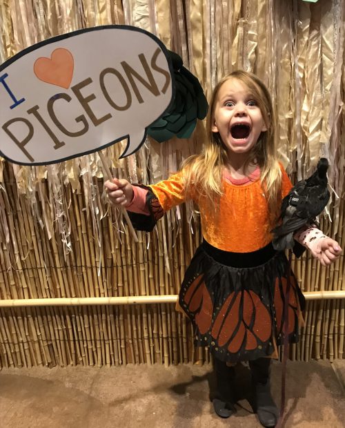 Very enthusiastic child holding I ❤️ Pigeons sign in one hand & a rescued pigeon in the other.