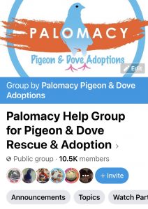 The Palomacy logo (blue pigeon across an orange swath) at the top of Palomacy's Help Group on Facebook