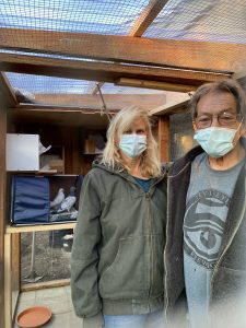 Married couple posing in the aviary they built for rescued pigeons