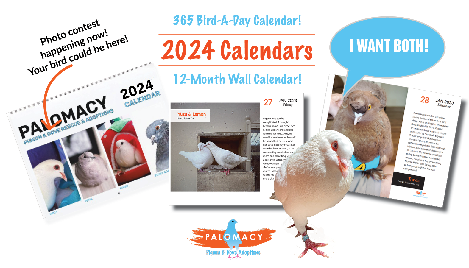 Globalgiving 2024 Calendar Edita Gwenora